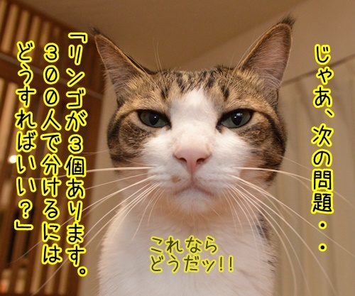 算数の問題ですッ！！　猫の写真で４コマ漫画　２コマ目ッ