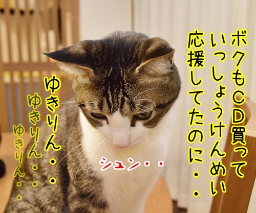 AKB柏○とNEWS手○の熱愛報道　猫の写真で４コマ漫画　３コマ目ッ