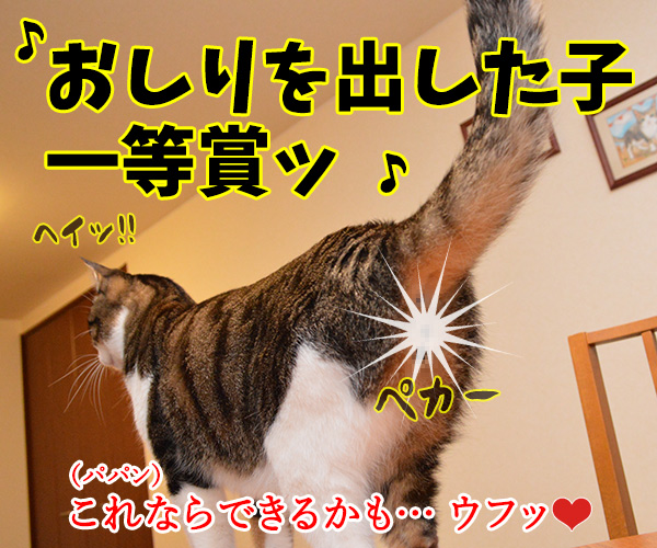 心理カウンセラー　だいず　猫の写真で４コマ漫画　４コマ目ッ