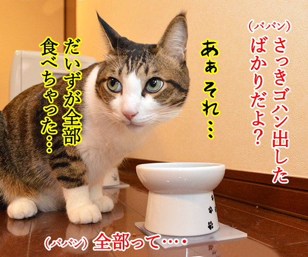 とにかく明るいあずき　猫の写真で４コマ漫画　２コマ目ッ