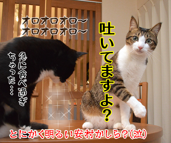 とにかく明るいあずき　猫の写真で４コマ漫画　４コマ目ッ