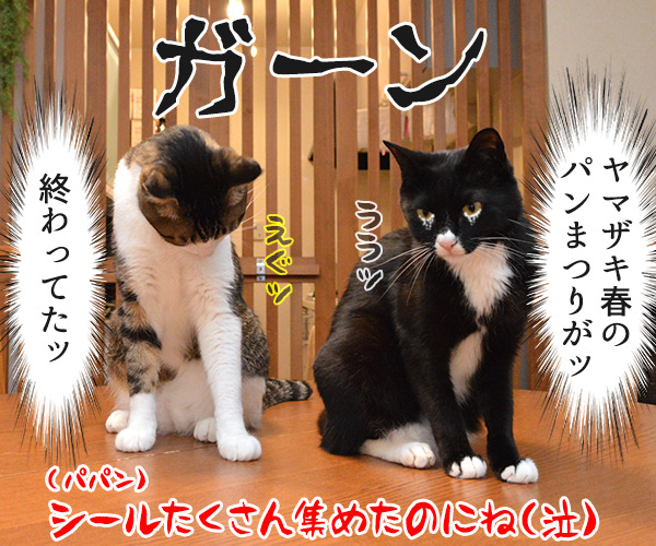 ああ…！ もうッ だめだ…！　猫の写真で４コマ漫画　４コマ目ッ