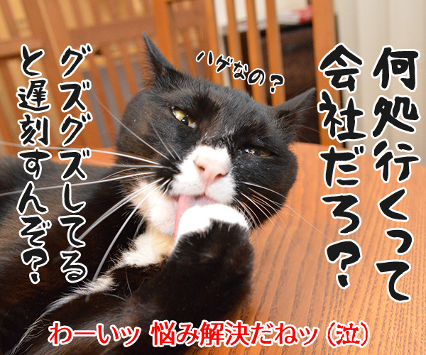 パパンの悩みごと　猫の写真で４コマ漫画　４コマ目ッ