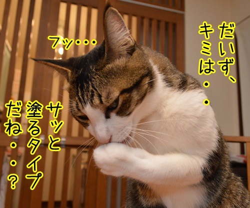 プロファイリングでわかったコト　猫の写真で４コマ漫画　２コマ目ッ