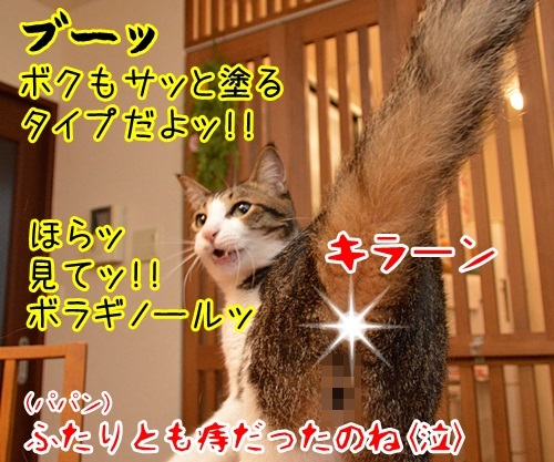 プロファイリングでわかったコト　猫の写真で４コマ漫画　４コマ目ッ