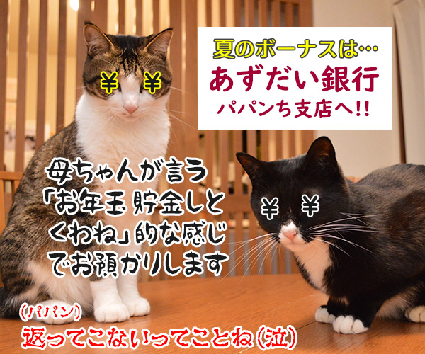 ボーナスを預けるなら　猫の写真で４コマ漫画　４コマ目ッ