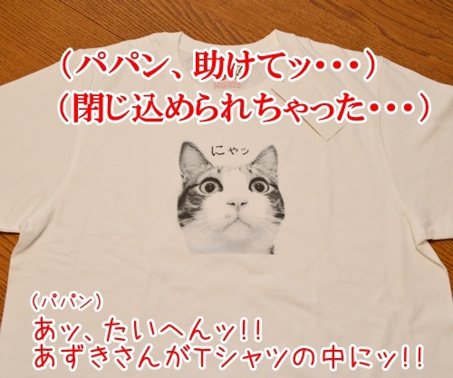 あずきさんがッ　Ｔシャツに！！