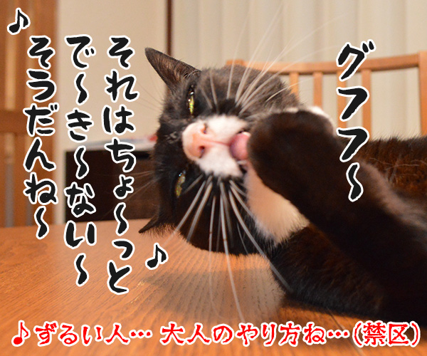 ボクのオヤツ食べないでよねッ　猫の写真で４コマ漫画　４コマ目ッ