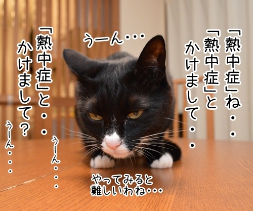 だいずさんて「なぞかけ」できるの？　猫の写真で４コマ漫画　３コマ目ッ