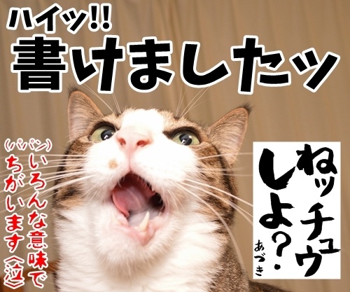 だいずさんて「なぞかけ」できるの？　猫の写真で４コマ漫画　４コマ目ッ