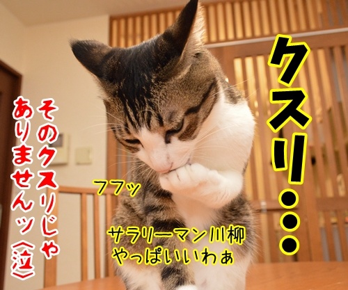 クスリが切れたみたいなの　猫の写真で４コマ漫画　４コマ目ッ