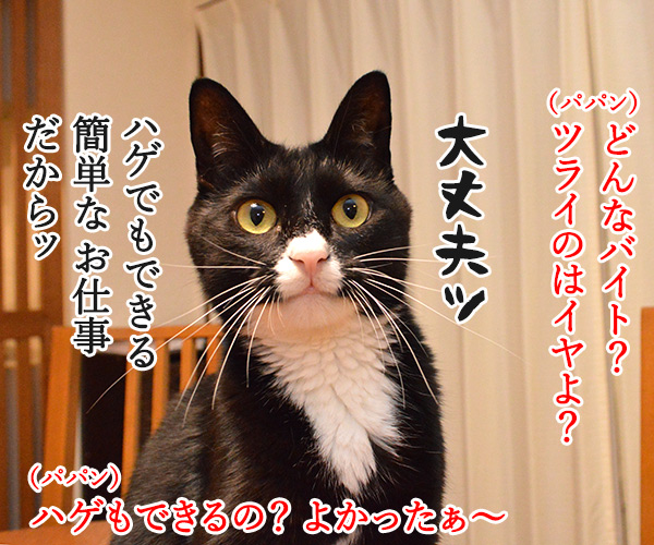 みんなで一緒にバイトしない？　猫の写真で４コマ漫画　２コマ目ッ