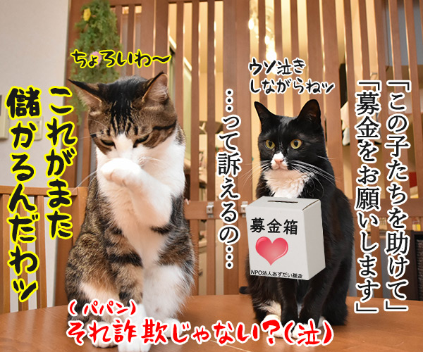 みんなで一緒にバイトしない？　猫の写真で４コマ漫画　４コマ目ッ