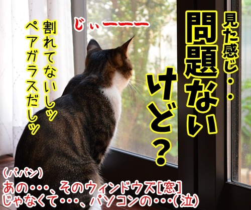 ウインドウズはウインドウズ？　猫の写真で４コマ漫画　４コマ目ッ