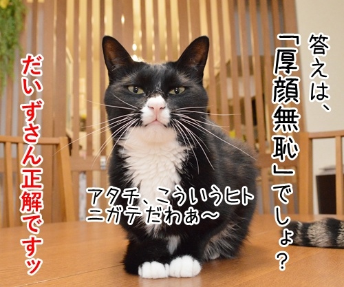 よいこのみんなッ　四字熟語クイズの時間だよッ！！　猫の写真で４コマ漫画　２コマ目ッ