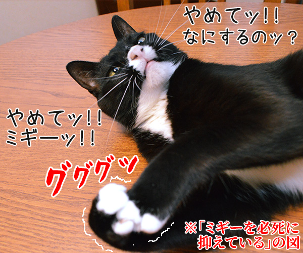 もしも「寄生獣」で寄生されたのが猫だったら？　猫の写真で４コマ漫画　３コマ目ッ