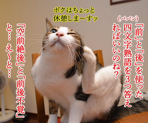 夏休みの宿題が終わらないの…　猫の写真で４コマ漫画　２コマ目ッ