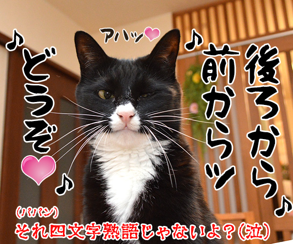 夏休みの宿題が終わらないの…　猫の写真で４コマ漫画　４コマ目ッ