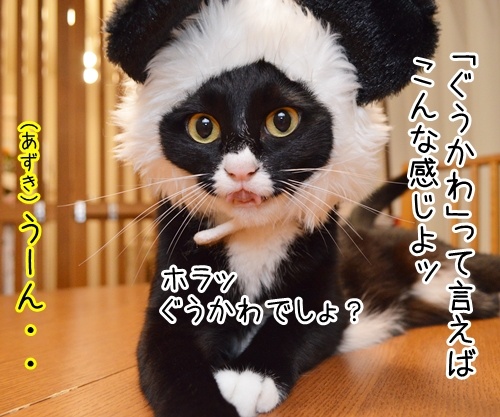 「ぐうかわ」ってどんな意味なの？　猫の写真で４コマ漫画　２コマ目ッ