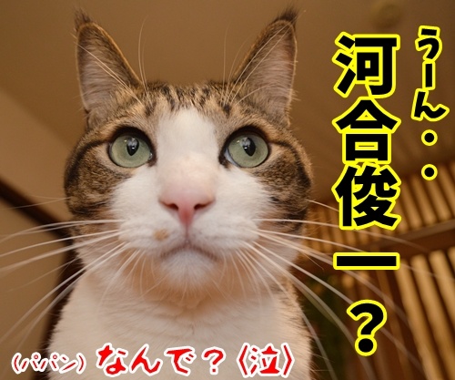 「ぐうかわ」ってどんな意味なの？　猫の写真で４コマ漫画　４コマ目ッ