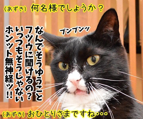 アルバイト初日（あずき篇）　猫の写真で４コマ漫画　４コマ目ッ