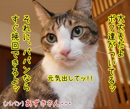 のっぴきならない内に…　猫の写真で４コマ漫画　２コマ目ッ