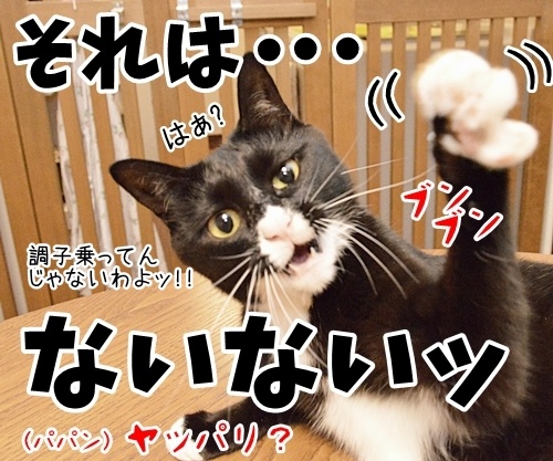 のっぴきならない内に…　猫の写真で４コマ漫画　４コマ目ッ