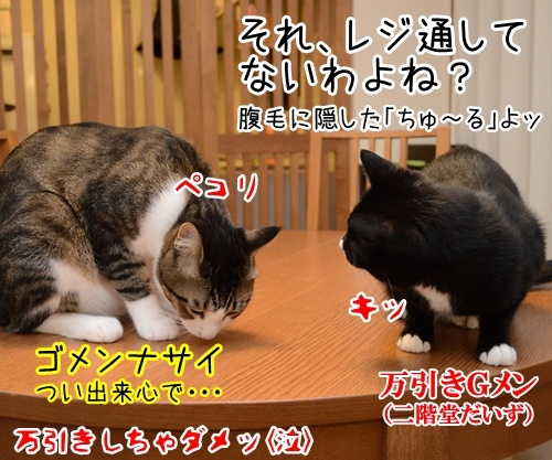 さあ、ボクと一緒にココから…　猫の写真で４コマ漫画　４コマ目ッ