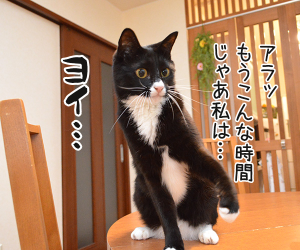 猫さんのお仕事