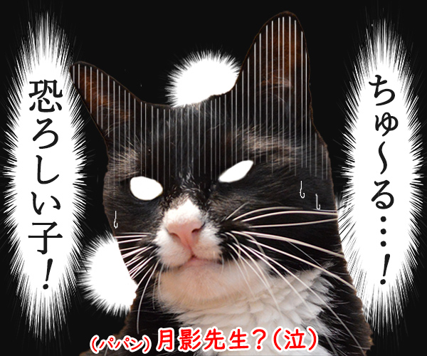 初めての「ちゅ～る」お味はいかが？　猫の写真で４コマ漫画　４コマ目ッ