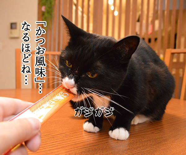 初めての「ちゅ～る」お味はいかが？　猫の写真で４コマ漫画　２コマ目ッ