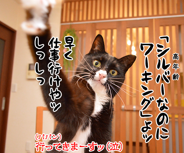 秋の大型連休は何て言うの？　猫の写真で４コマ漫画　４コマ目ッ