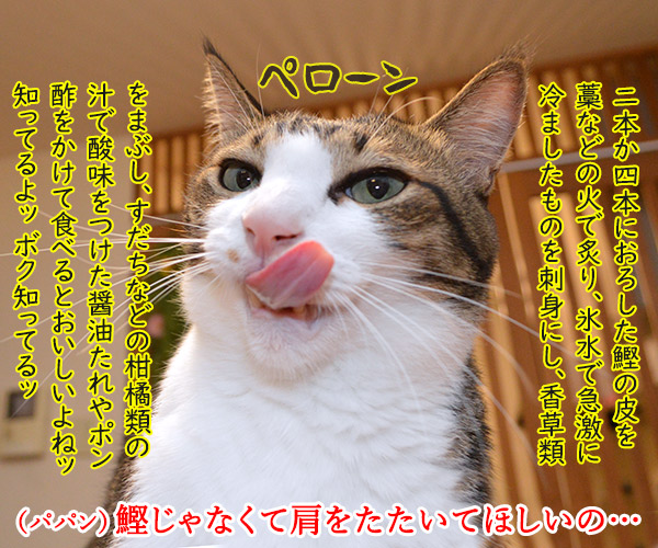 敬老の日にしてあげる事と言えば…　猫の写真で４コマ漫画　２コマ目ッ