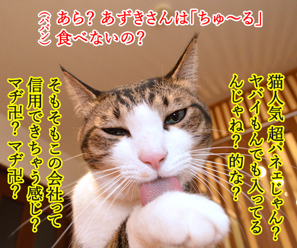 きょうのオヤツは「ちゅ～る」ですよ～　猫の写真で４コマ漫画　２コマ目ッ