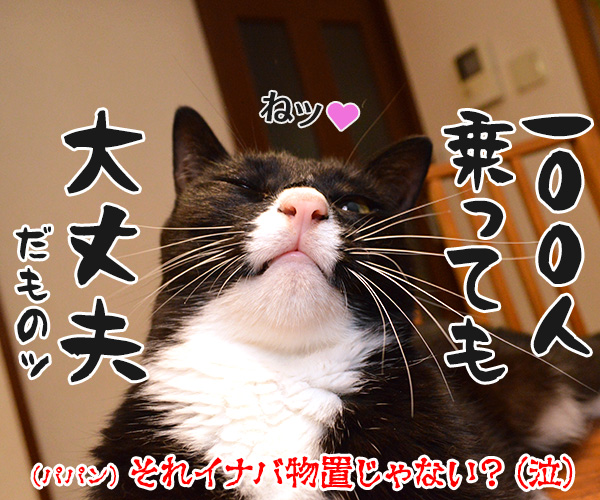 きょうのオヤツは「ちゅ～る」ですよ～　猫の写真で４コマ漫画　４コマ目ッ