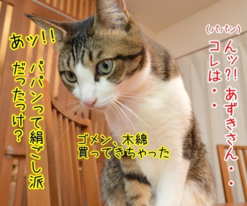 10月2日は「豆腐の日」なのよ　猫の写真で４コマ漫画　３コマ目ッ