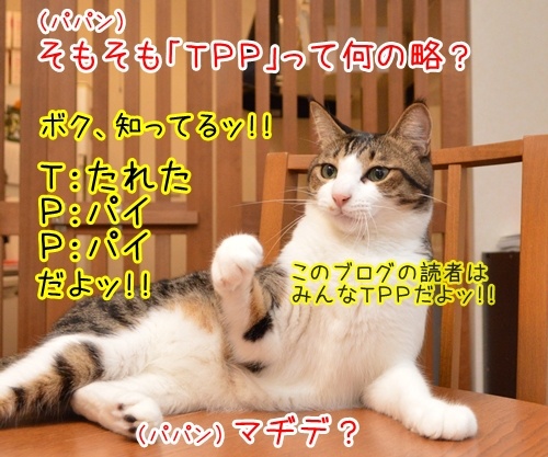 「ＴＰＰ」ってなんの略？　猫の写真で４コマ漫画　２コマ目ッ