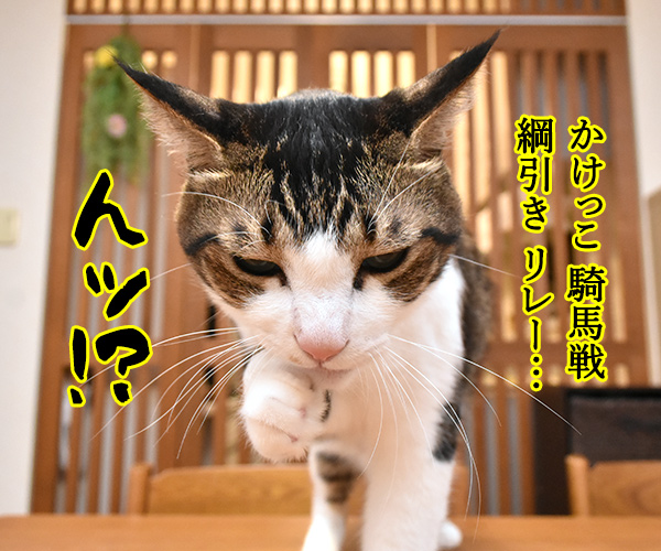 運動会のプログラム　猫の写真で４コマ漫画　２コマ目ッ