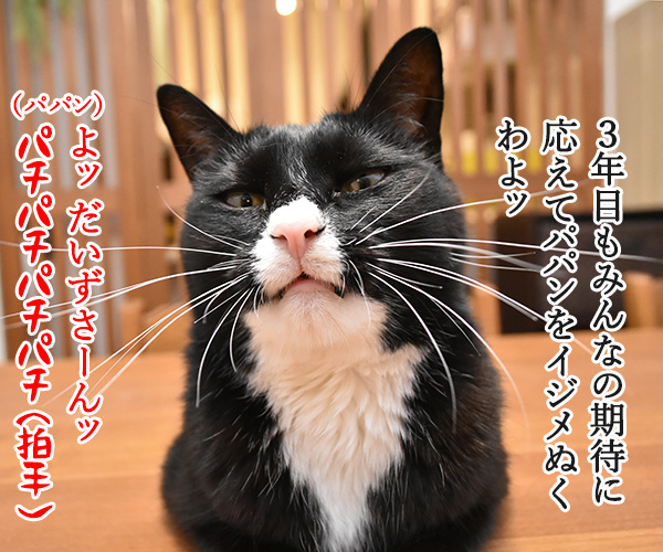 二周年記念パーティにて　猫の写真で４コマ漫画　２コマ目ッ