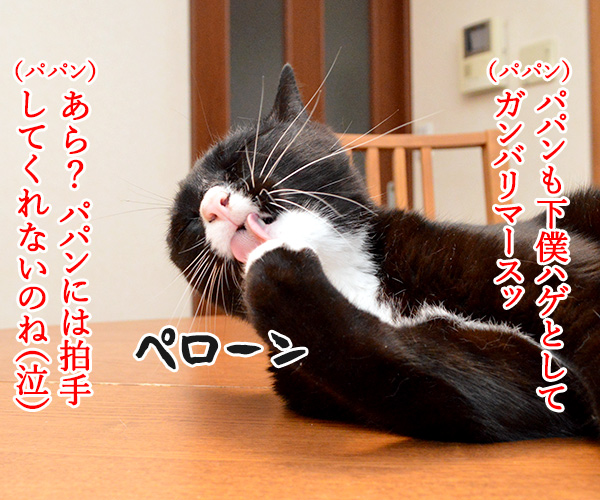 二周年記念パーティにて　猫の写真で４コマ漫画　３コマ目ッ