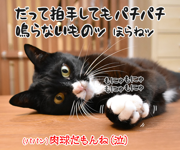 二周年記念パーティにて　猫の写真で４コマ漫画　４コマ目ッ