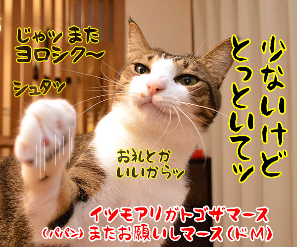 いつもありがとうございます　猫の写真で４コマ漫画　４コマ目ッ