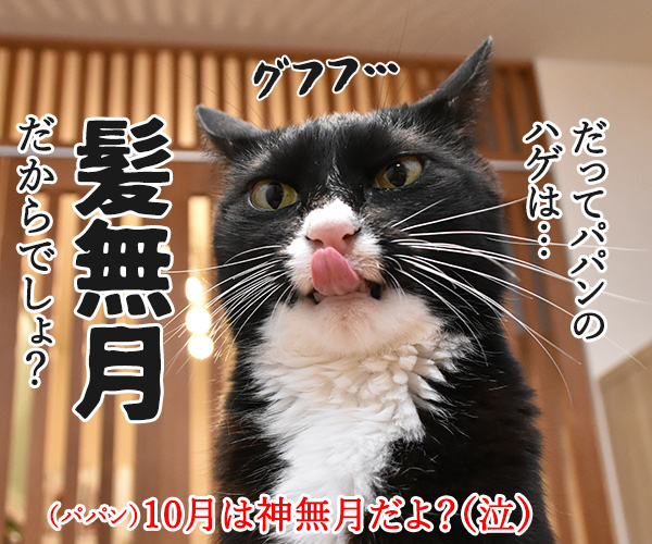 もうすぐ10月も終わり…　猫の写真で４コマ漫画　３コマ目ッ