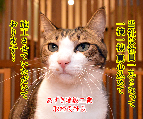 マンション傾き問題　猫の写真で４コマ漫画　２コマ目ッ