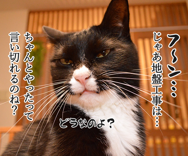 マンション傾き問題　猫の写真で４コマ漫画　３コマ目ッ