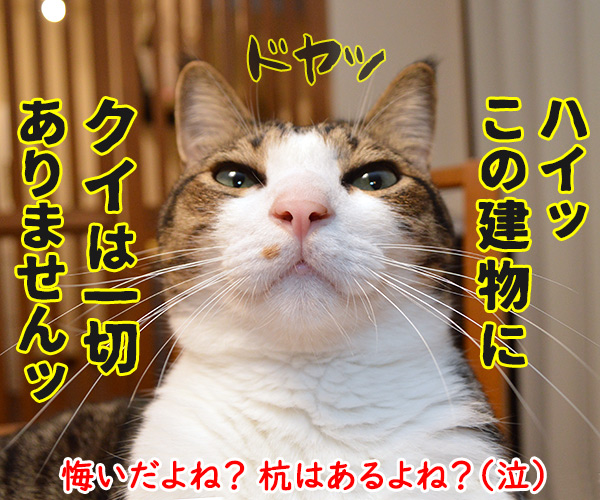 マンション傾き問題　猫の写真で４コマ漫画　４コマ目ッ