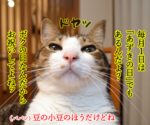 きょうはお寿司の日なんだってッ　猫の写真で４コマ漫画　２コマ目ッ