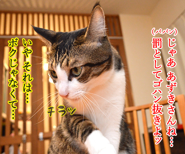 パパンのオヤツを食べたのは誰？　猫の写真で４コマ漫画　２コマ目ッ