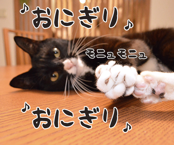 お弁当つくってあげるねッ　猫の写真で４コマ漫画　３コマ目ッ