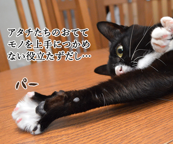 猫の手も借りたいと言うけれど… 其の二　猫の写真で４コマ漫画　２コマ目ッ